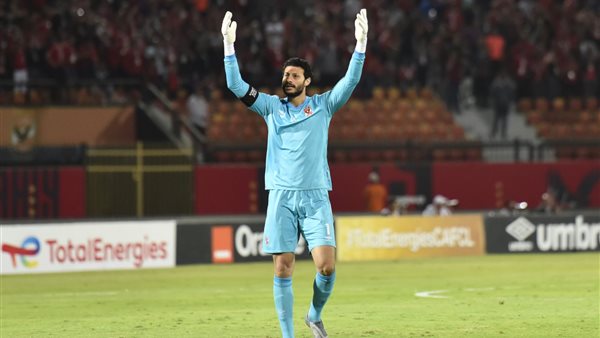 محمد الشناوي