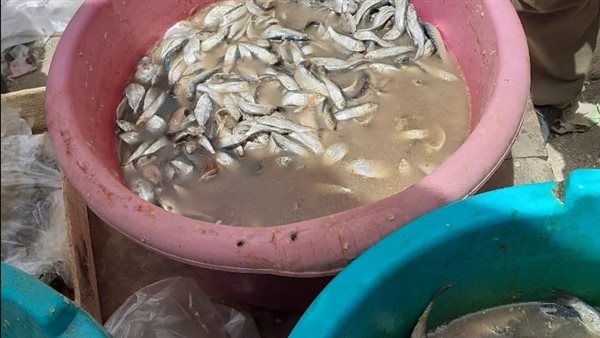 حملات على أسواق الأسماك