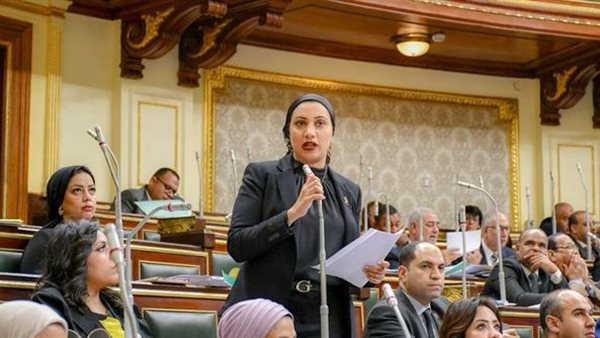 النائبة آية مدني