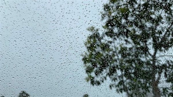 حالة الطقس في مصر