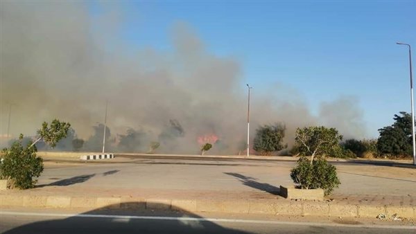 حريق - أرشيفية