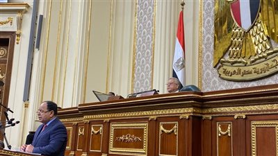 وزير المالية للنواب: نسعى لدعم القطاع الخاص.. والاقتصاد المصري حقق نموًا 9% رغم الأزمة العالمية