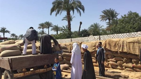 توريد القمح بسوهاج