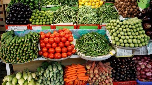 اسعار الخضار