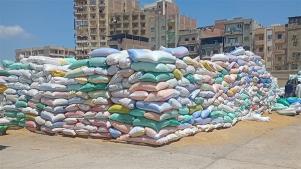 صوامع القمح بمحافظة