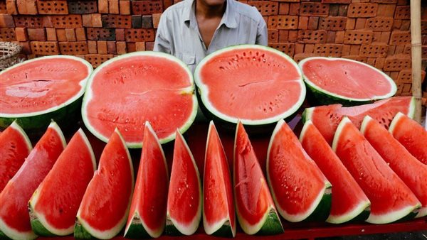 البطيخ - أرشيفية