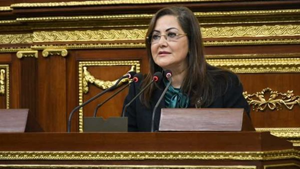 وزيرة التخطيط