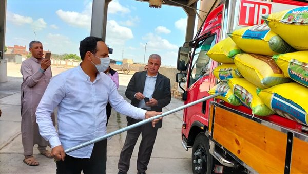 توريد القمح فى الإسكندرية