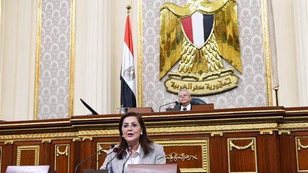 وزيرة التخطيط في