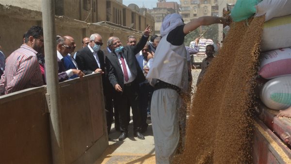 محافظ الجيزة يتفقد