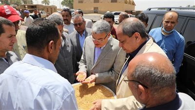 محافظ المنيا: توريد 104 آلاف طن قمح وانتظام استلام المحصول من الموردين والمزارعين