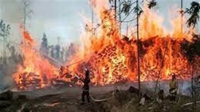 وزير الطوارئ الروسي: 4000 حادث حريق غابات هذا العام.. وسقوط قتلى ومصابين 
