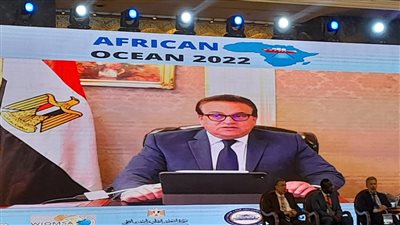 خالد عبدالغفار: من المهم تحقيق التنمية في إفريقيا وفقًا للأجندة الإفريقية