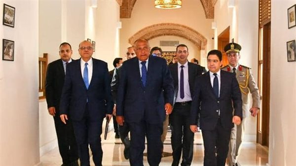 وزيرا خارجية مصر