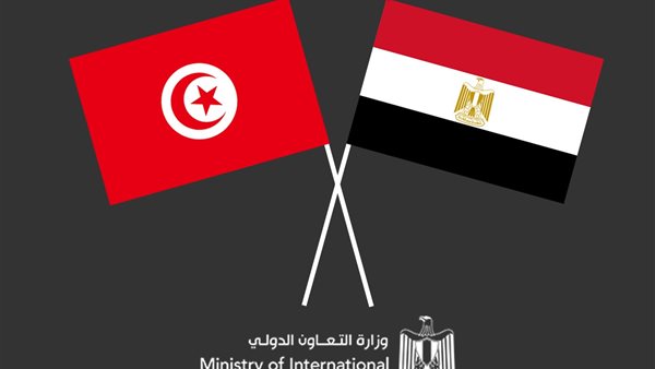 اللجنة العليا المصرية