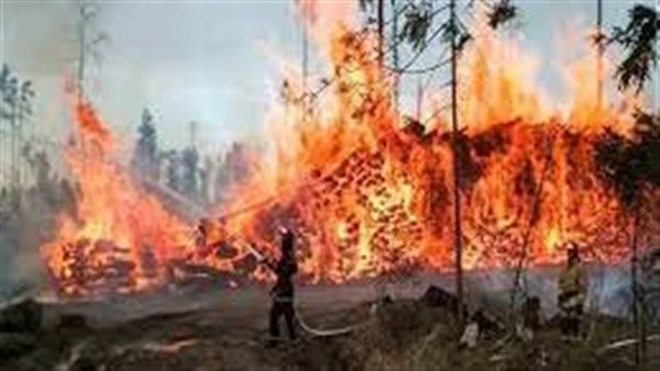 حرائق غابات