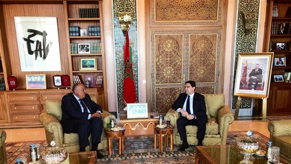 سامح شكري ونظيره