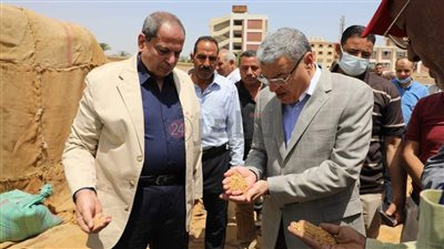 محافظ المنيا: توريد 119 ألف طن قمح منذ بدء الموسم