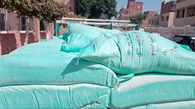 700 جنيه زيادة في سعر طن الدقيق المحلي بالأسواق