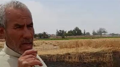 شخص يتهم شقيقه بإشعال النيران في حقله بالشرقية: ولع في 3 فدادين قمح | بث مباشر 