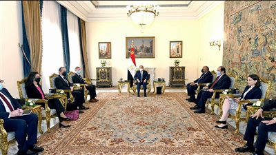 خلال اجتماعه بمستشار الأمن القومي الأمريكي.. السيسي يشدد على ضرورة حل القضية الفلسطينية وفق المرجعيات الدولية 