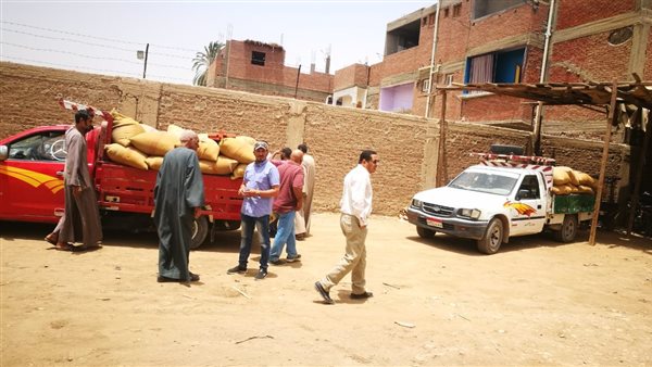 استمرار توريد القمح