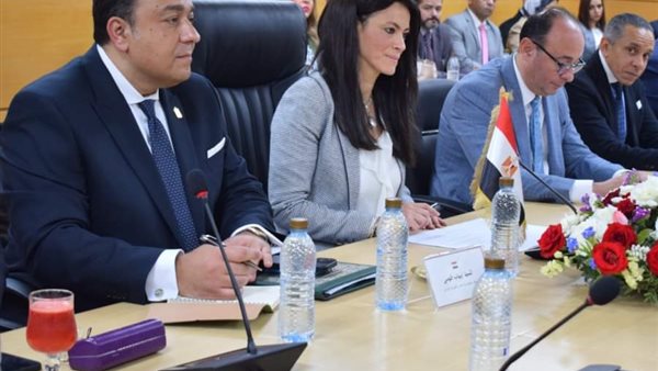 وزيرة التعاون الدولي