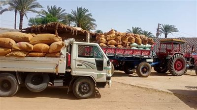 توريد 887 طنًا من القمح لصوامع وشون سوهاج