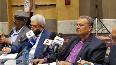  عبد المنعم سعيد: الحوار الوطني سيستند إلى وثيقة الدستور ورؤية مصر 2030 