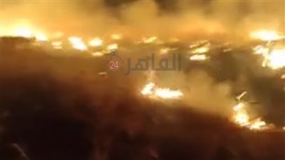  شرقاوي يتهم شقيقه بالبلطجة: حرق أرضي وبيهدد بيتي وولادي | فيديو