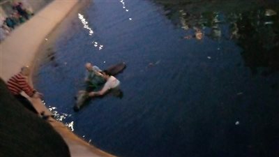 شباب قرية بالمنوفية ينجحون في انتشال جاموسة من إحدى الترع | فيديو