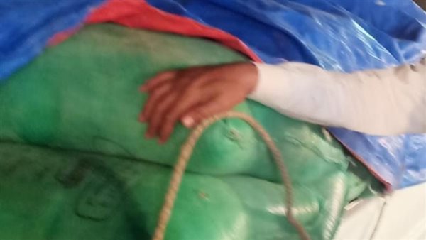 ضبط قمح قبل تهريبه