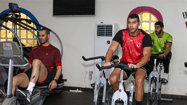 فريق يد الأهلي