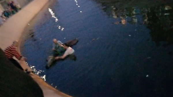 انتشال جاموسة من