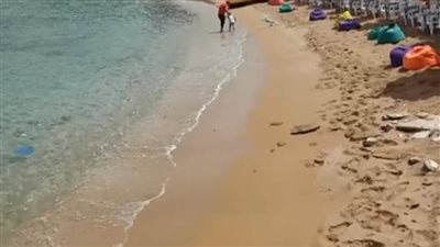 هدوء على شواطئ الإسكندرية.. وطقس معتدل بكفر الشيخ بعد انكسار الشبورة المائية | بث مباشر