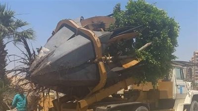 تشغيل أحدث معدات نقل وإعادة زراعة الأشجار والنخل بالقاهرة 