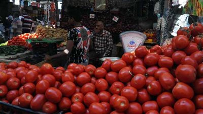 الطماطم بـ10 جنيهات.. شعبة الخضروات بالغرفة التجارية: انخفاض أسعار الخضر والفاكهة