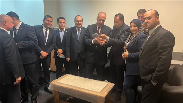 جمارك مطار القاهرة