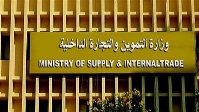 التموين تكشف تفاصيل تحديث قاعدة البيانات في 30 ثانية والمستندات المطلوبة | فيديو