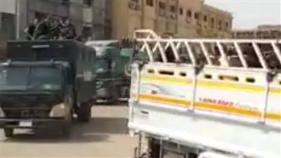 زراعة أسوان: تسلمنا 451 رأس ماشية من إحدى مزارع مصطفى البنك استعدادًا لبيعها