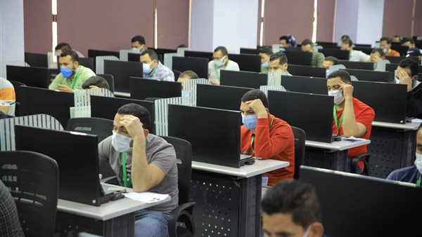 التنظيم والإدارة