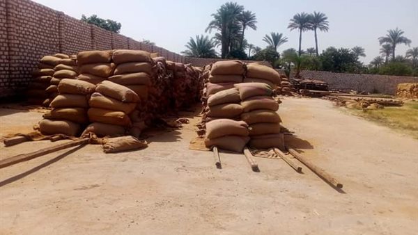 توريد القمح بسوهاج