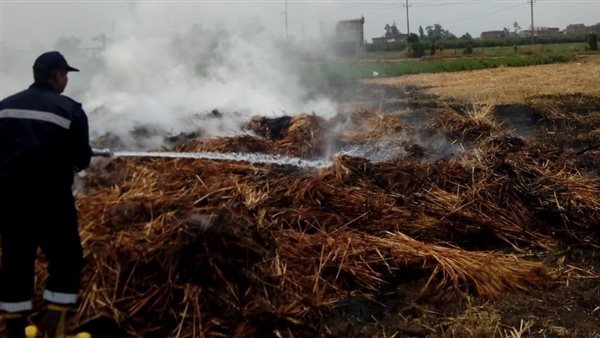 حريق أرض قمح