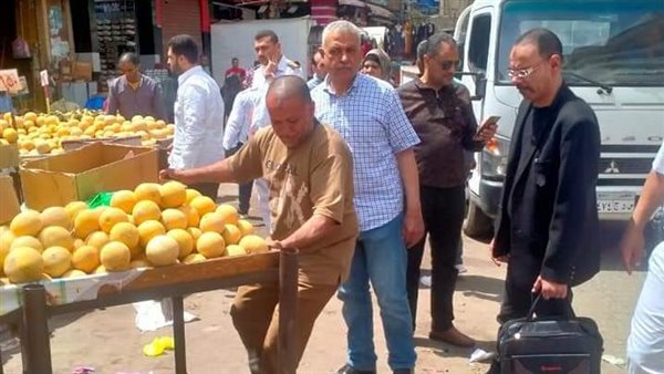 حملة بالإسكندرية