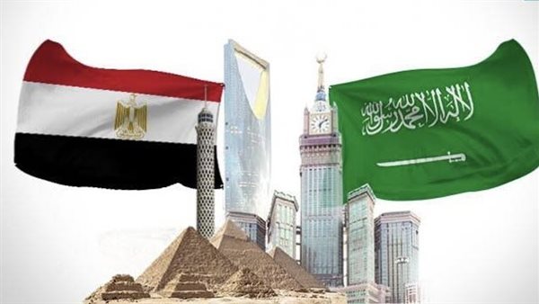 علما مصر والسعودية