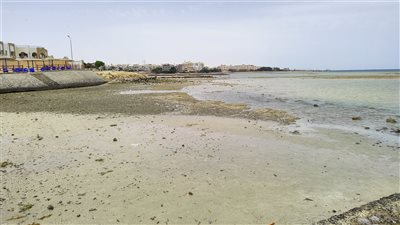 بسبب المد والجزر.. تراجع وانحسار مياه البحر في الغردقة | بث مباشر 