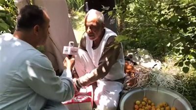 مزارعو القليوبية عن محصول المشمش: الإنتاج وفير لم نشهده منذ الثمانينات.. وخيره هيعم على البلد | بث مباشر