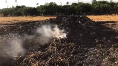 بدء التحقيق في إصابة طالبة بطلق ناري في مشاجرة بين أشقاء بالوراق