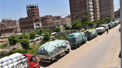 توريد 243 ألف طن قمح إلى الشون والصوامع بالمنيا
