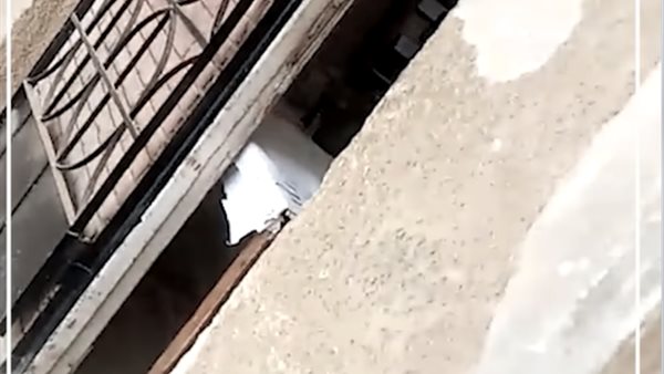 صورة من الفيديو المتداول